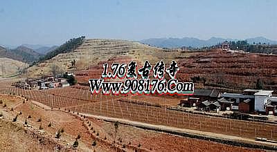 1.76复古传奇手游版