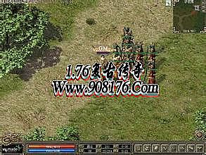 ս��紫˵��ʧ����