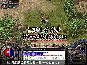 新开传奇小极品