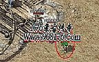 1.76οѧᷨʦɱ