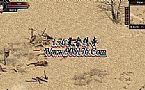 ����С˵��ʦӦ����ô��������Ӱ����